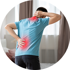 보험사별 보험료 차이 확인